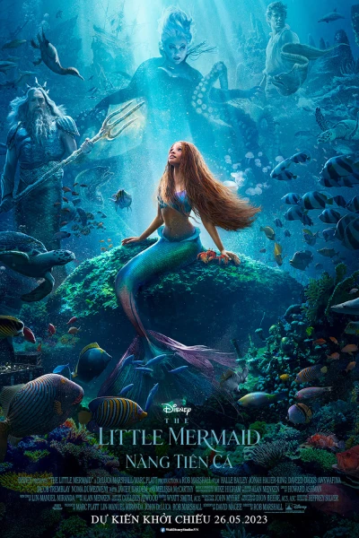 Nàng Tiên Cá - The Little Mermaid